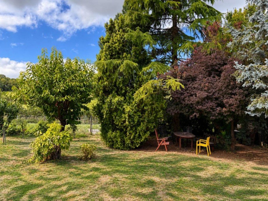 Freisitz Einfamilienhaus Alzey