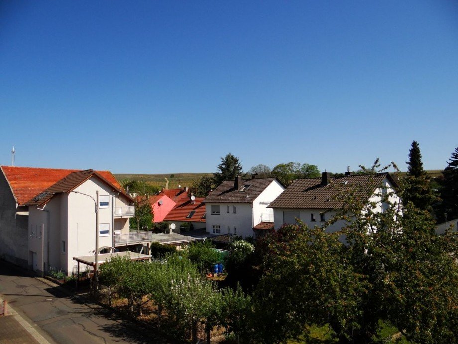 Balkon-Aussicht Dachgeschosswohnung Alzey-Weinheim