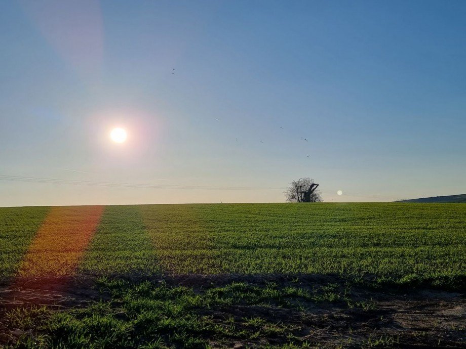 Unverbauter Blick Doppelhaush�lfte Gau-Heppenheim