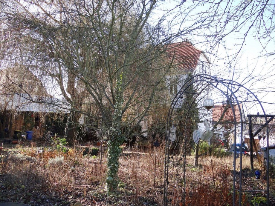 Garten Haus Mauchenheim