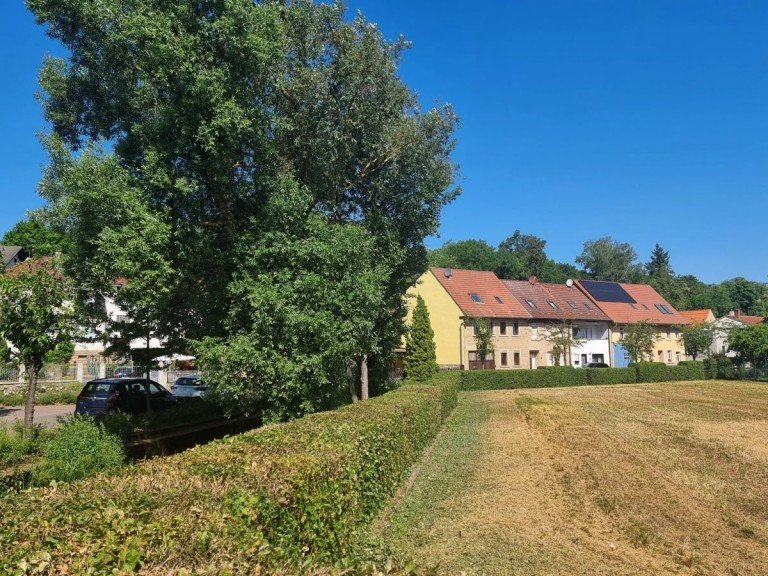 Umgebung Nieder-Wiesen Einfamilienhaus Wohnen im malerischen Nieder-Wiesen, umgeben von B�chen, W�ldern und Wiesen