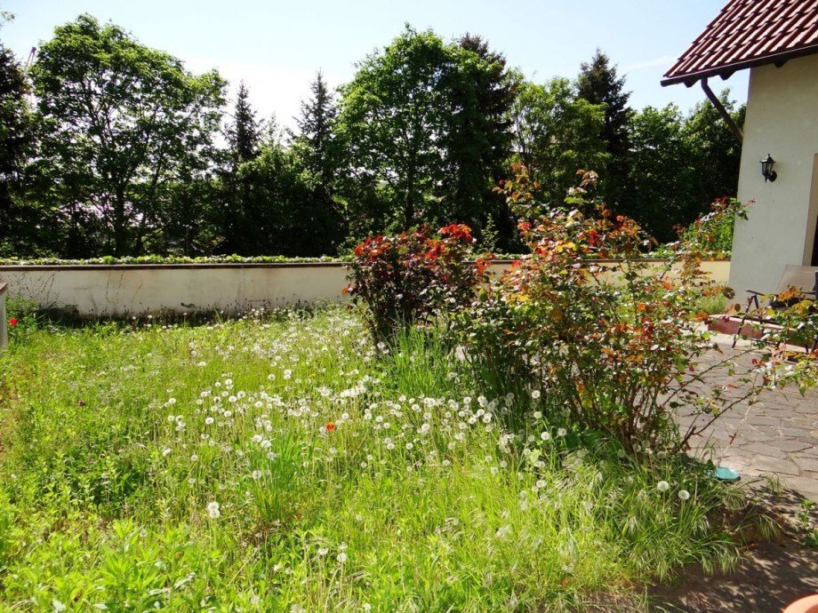 Terrasse u. Garten Einfamilienhaus Bechtolsheim