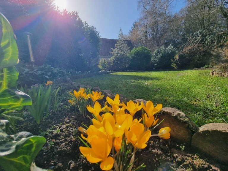 Garten Nieder-Wiesen Haus Ein Zuhause mit MEHR � mehr Freiraum, mehr Natur, mehr Ruhe, mehr Lebensfreude!