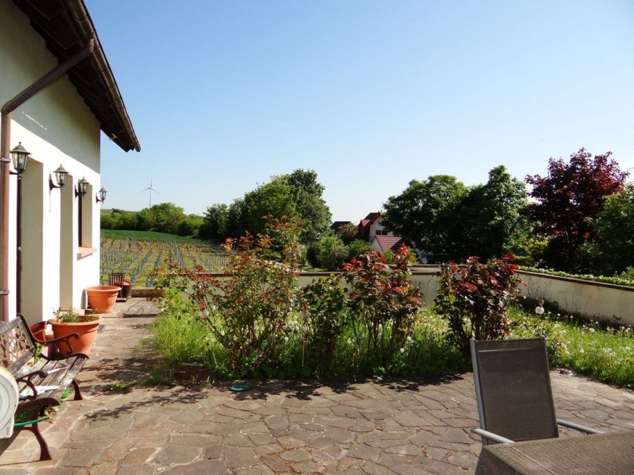 Terrasse mit Blick auf Weinfelder Einfamilienhaus Bechtolsheim