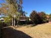 Garten Bungalow Alzey