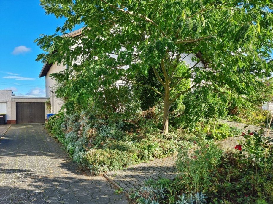 Zugang zur Terrasse und Haus Haus Albig