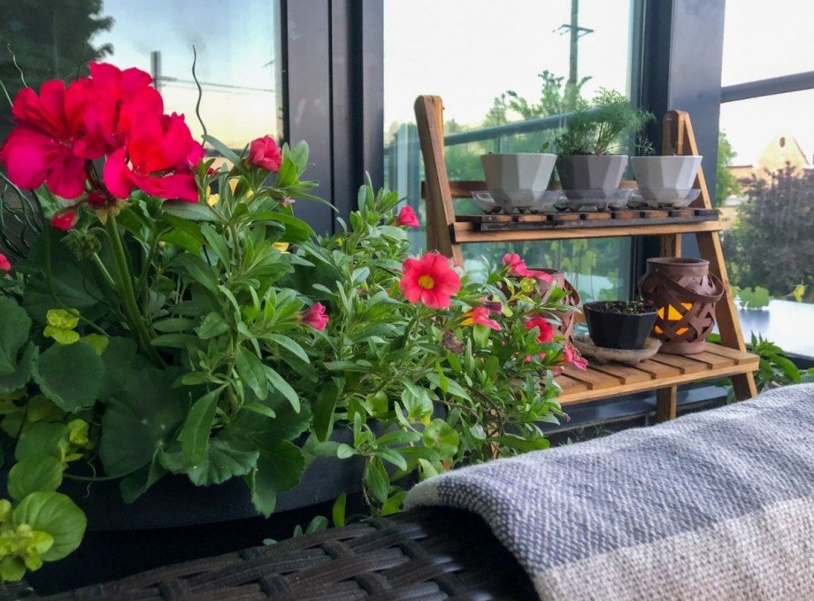 Musterbild, WHG Nr. 6 Wohnung Gau-Odernheim