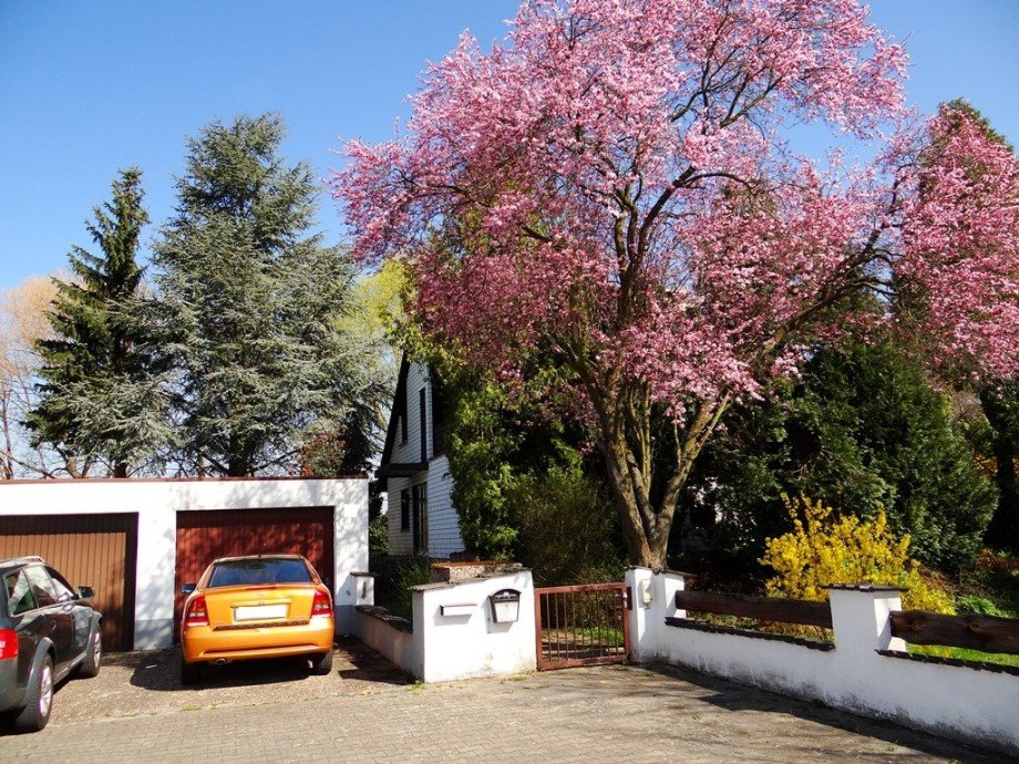 Haus Au�enansicht Haus Flonheim