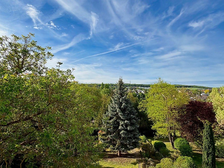 Panorama Zweifamilienhaus 