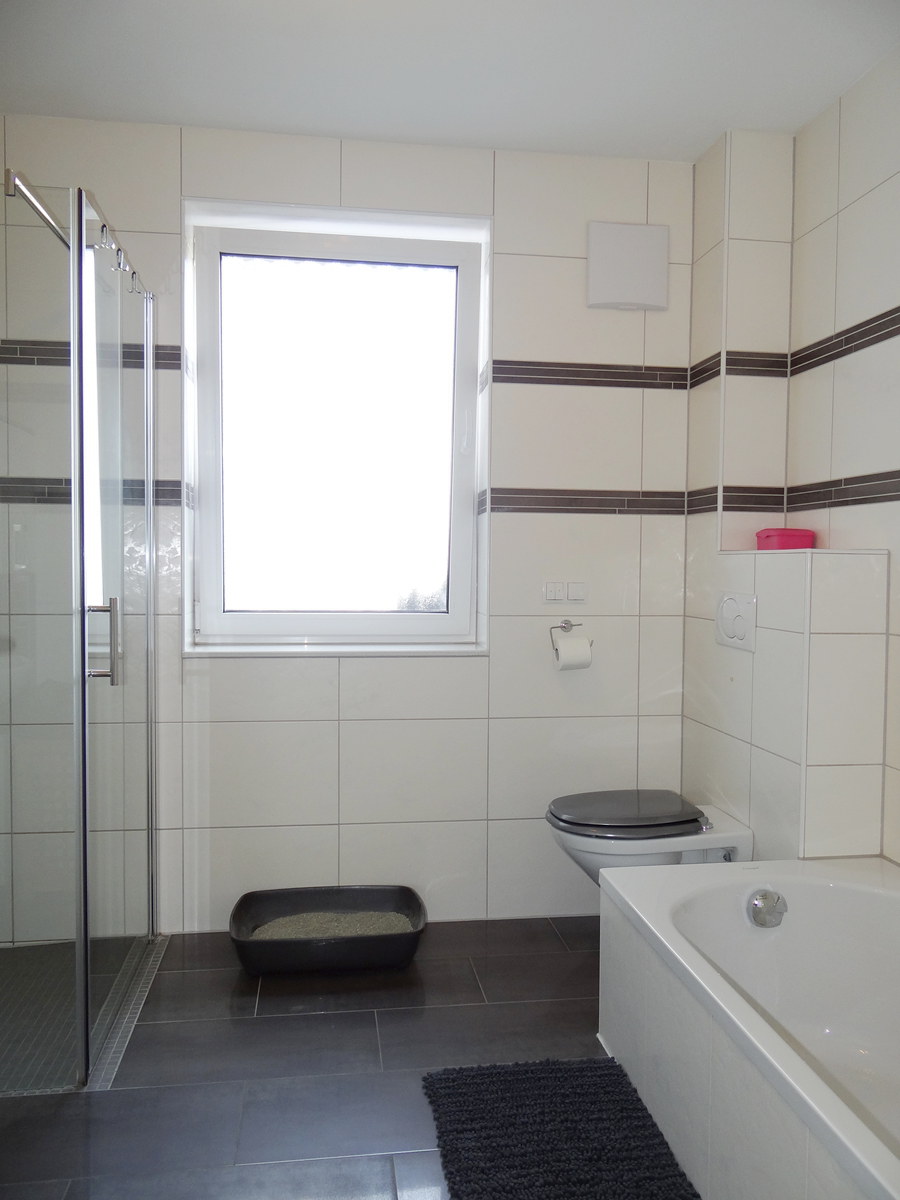 Tageslichtbad EG Wohnung Alzey