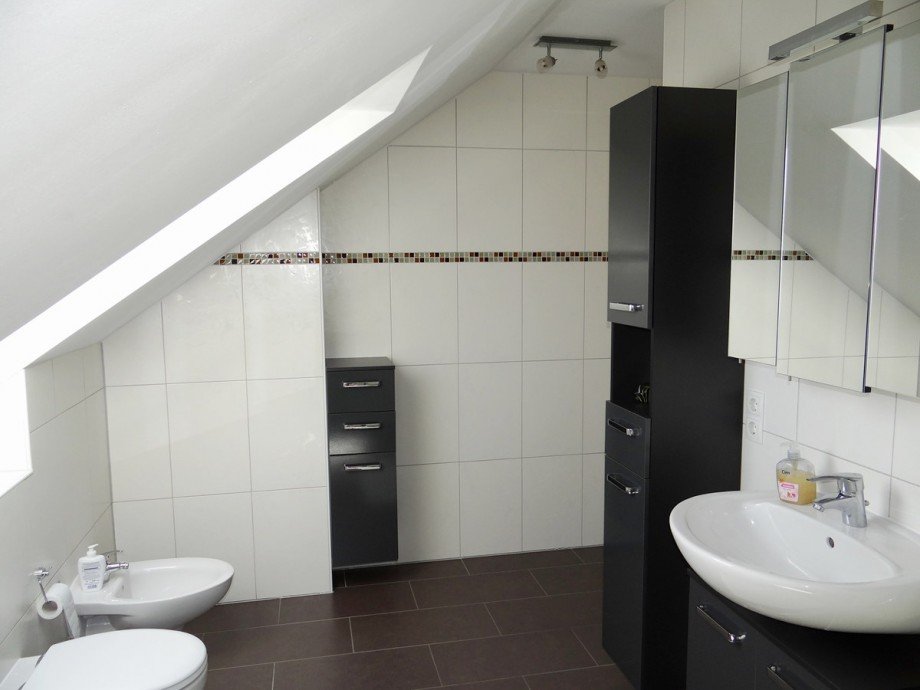 Tageslichtbad DG Wohnung Alzey