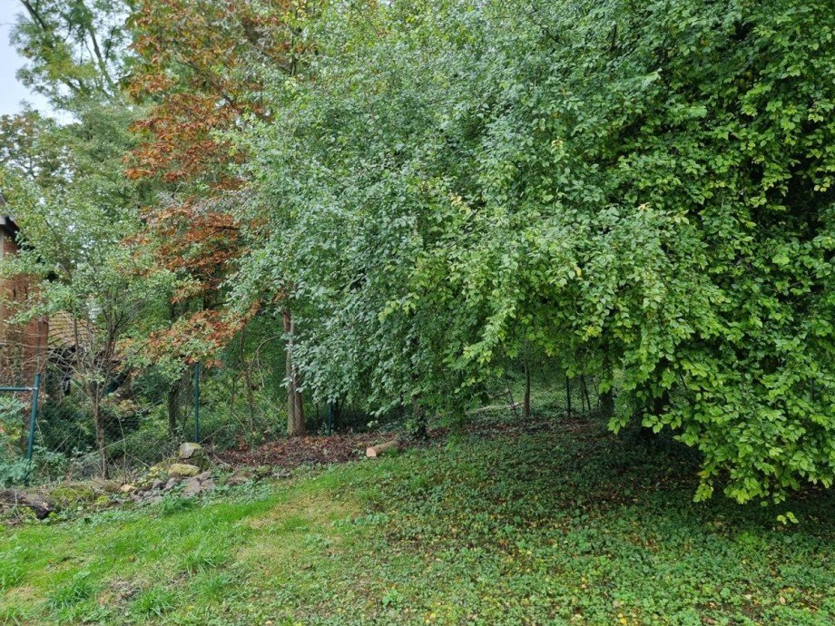 Garten Erdgeschosswohnung Freimersheim