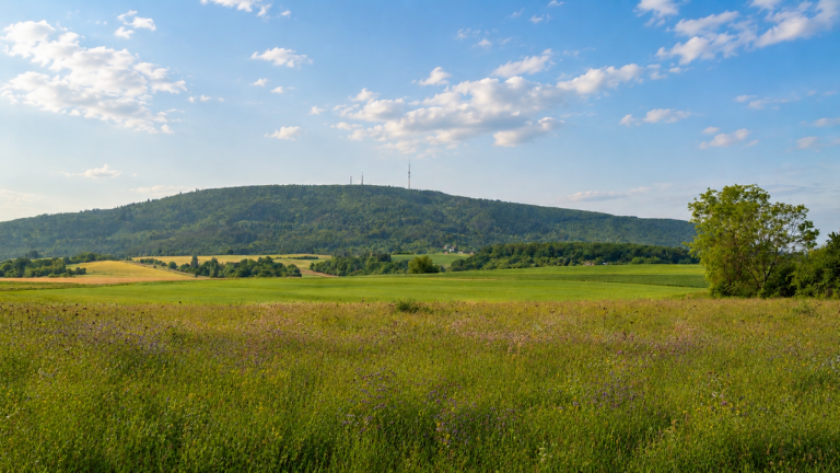 Aussicht Grundst�ck Zwischen Feldern, Freiheit und Fernblick � wo Neubautr�ume auf den Donnersberg blicken!