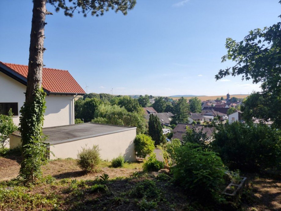 Gartenseite Einfamilienhaus Alzey