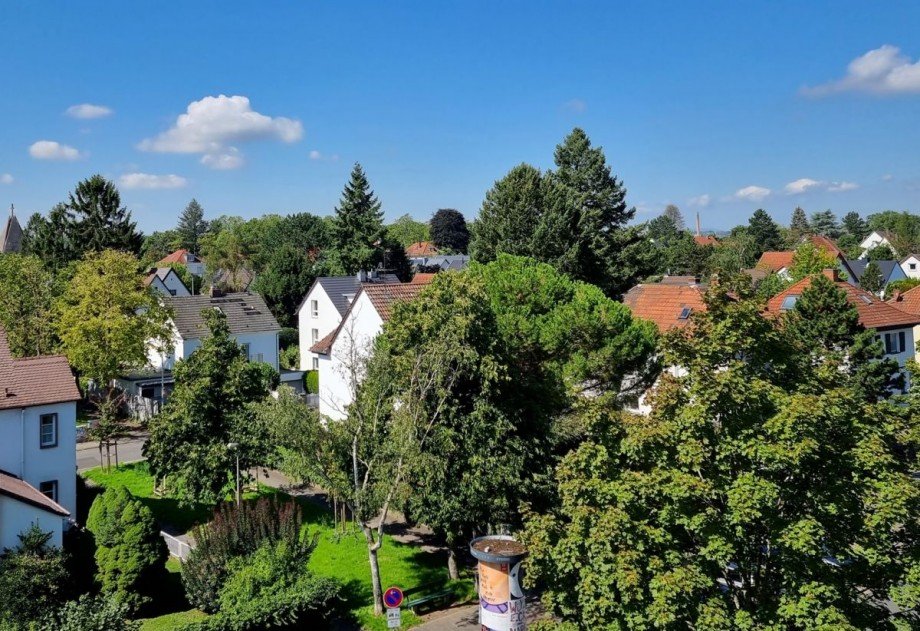 Aussicht Dachgeschosswohnung Mainz